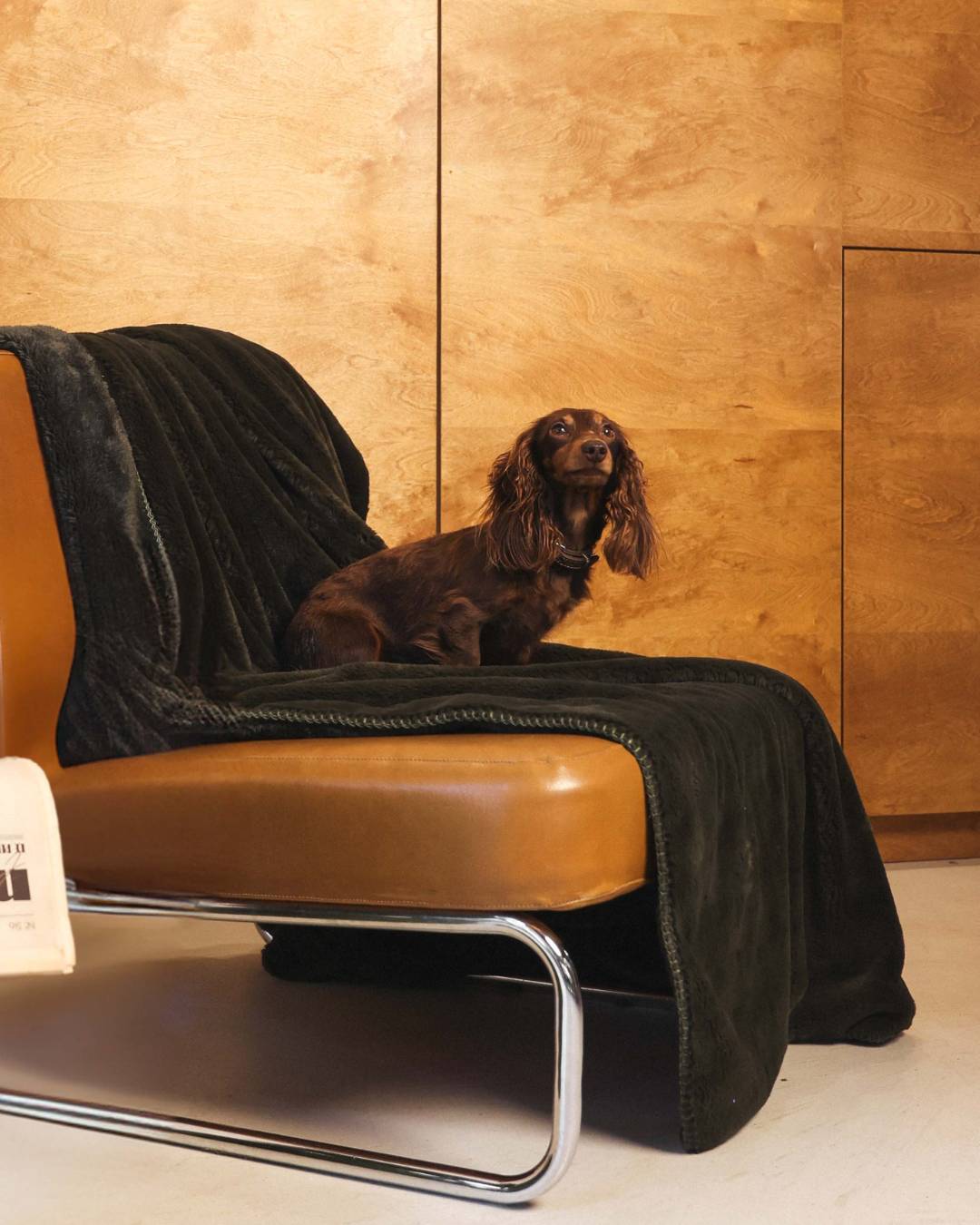 Plaid Cosy Monochrome Sapin - kaki thumbnail 5