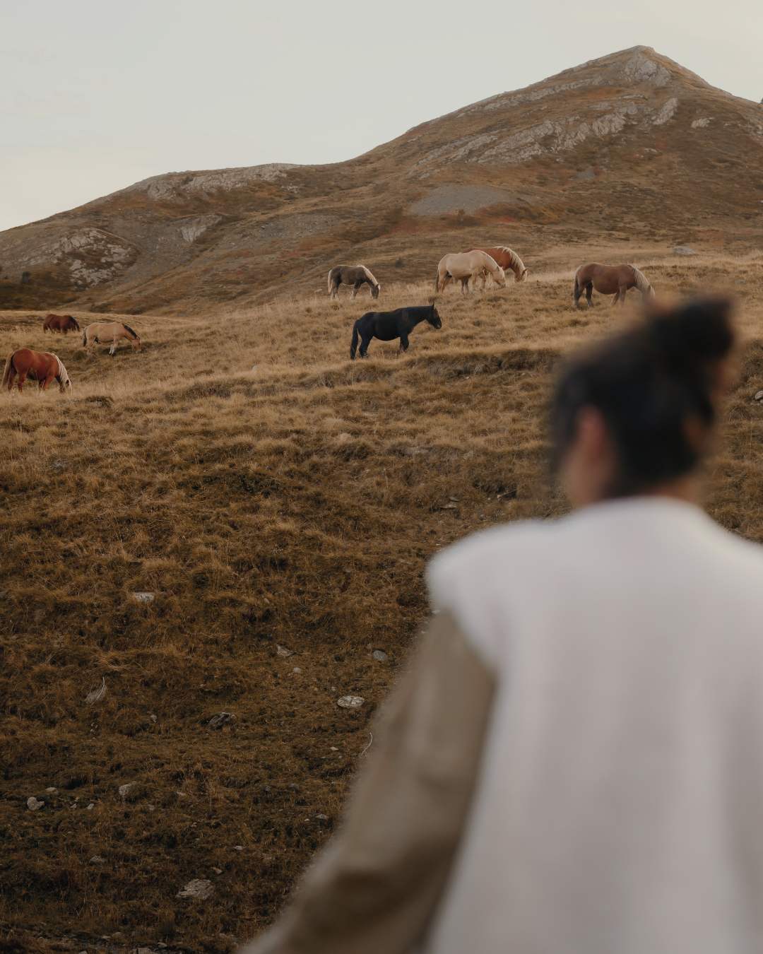 Gilet sans manches effet laine - Blanc thumbnail 2