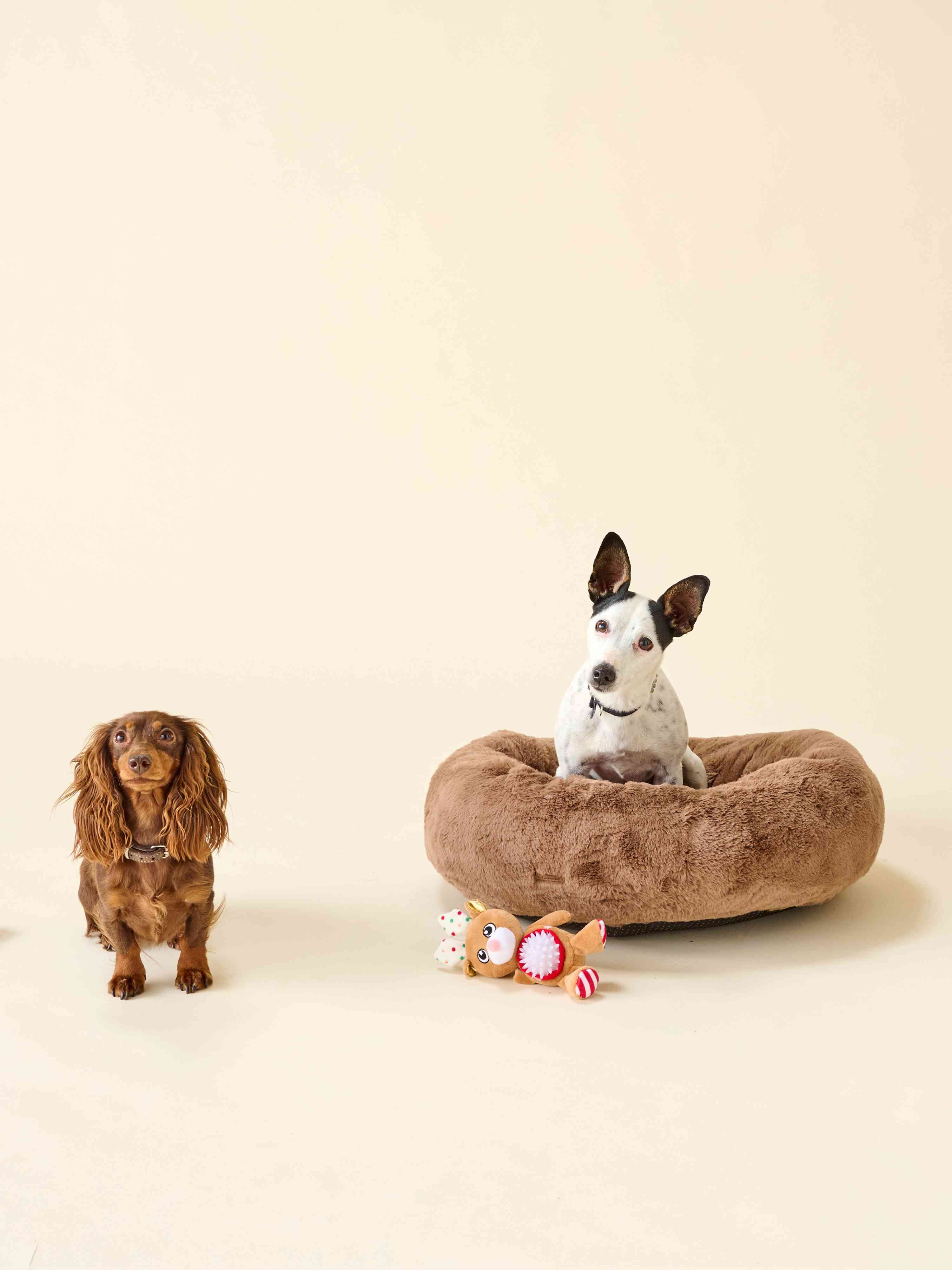 Panier pour chien - Fourrure Marron