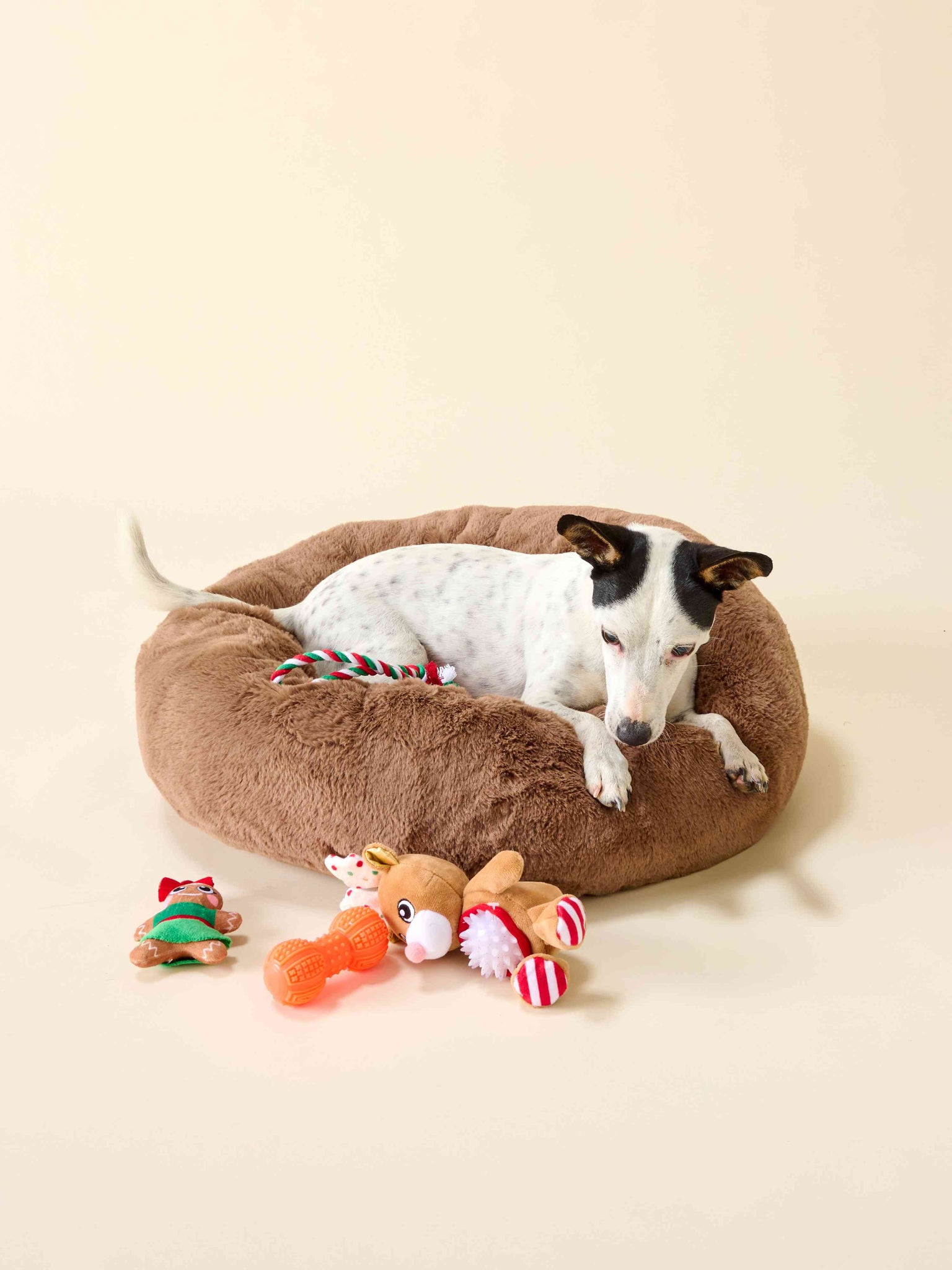 Panier pour chien - Fourrure Marron thumbnail 5