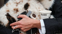 <h2>Accessoires</h2>