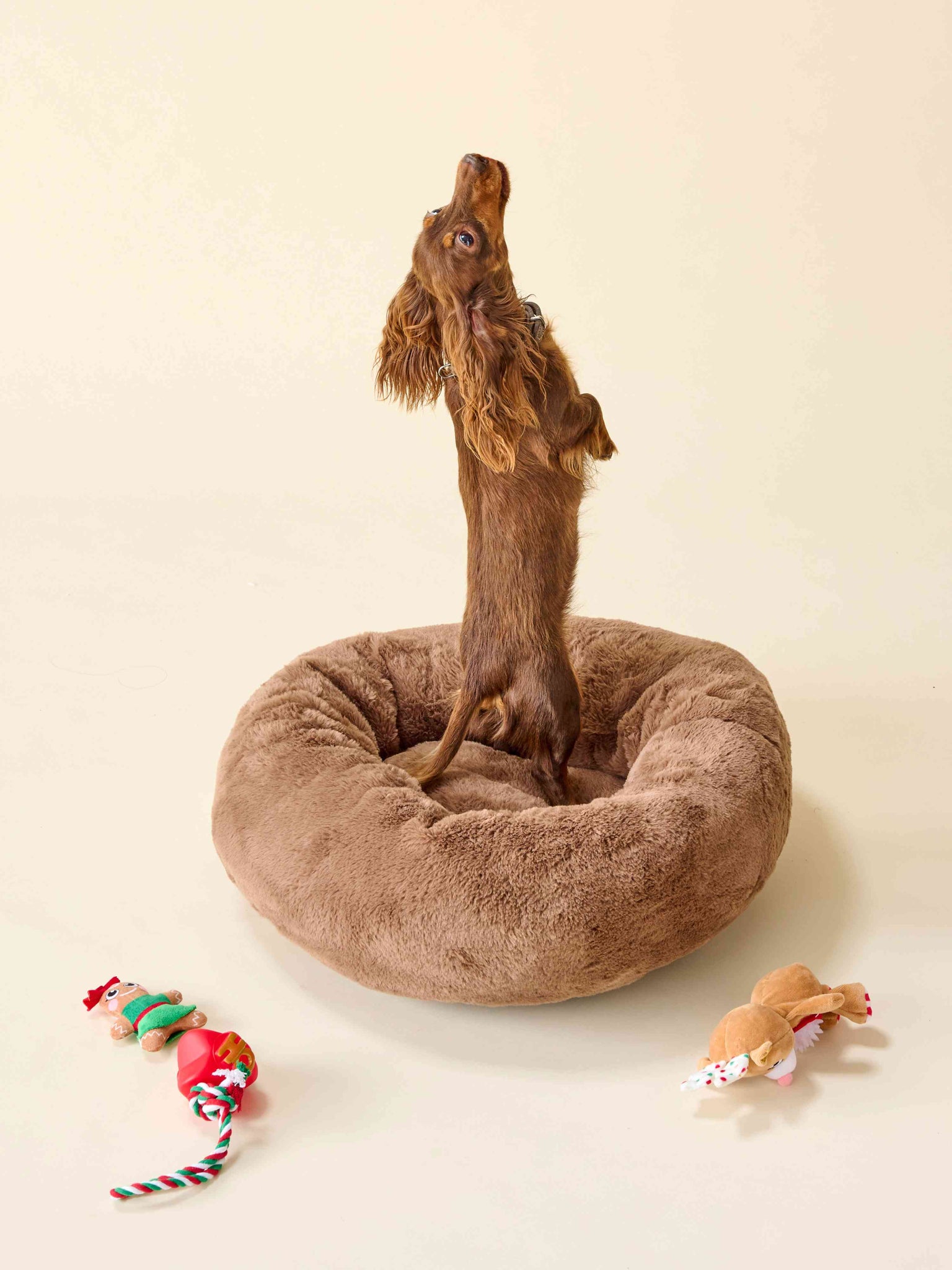 Panier pour chien - Fourrure Marron thumbnail 4